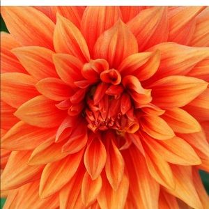 Don’t be shy, feel free to make offers 😀